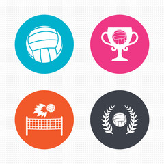 Volleyball and net icons. Winner award cup.