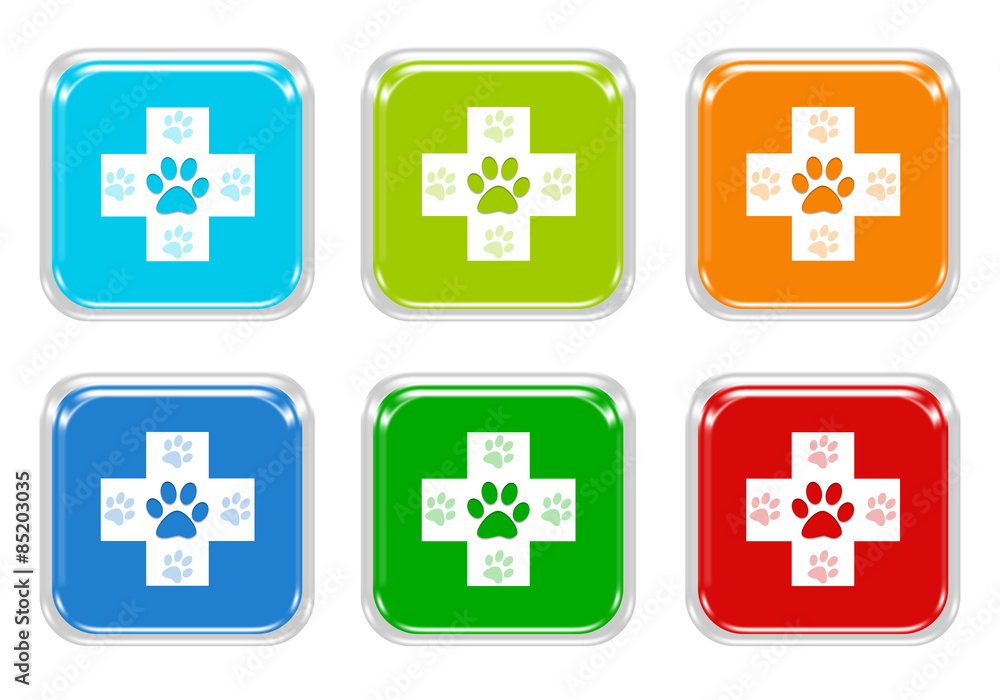 Poster set of squared colorful buttons with veterinary symbol