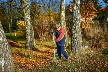 boy racking fallen autumn leaves in garden