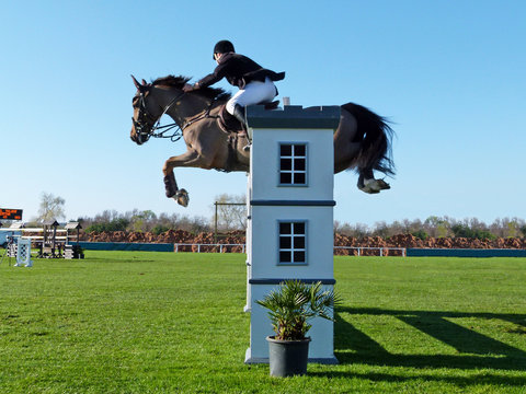 Hipismo - Salto de obst&aacute;culos