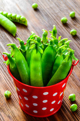 hearthy fresh green peas and pods