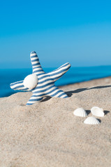Sommerferien am Meer, Strandurlaub, Stillleben mit Seestern und Muscheln unter blauem Himmel, basteln