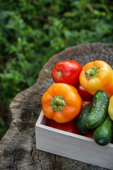 Wooden box with fresh vegetables (tomato, cucumber, bell pepper)