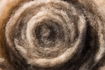 Washed and carded sheep wool, ready for spinning