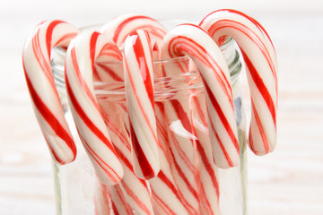 Candy Cane Closeup