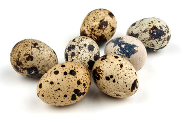 Seven quail eggs on white background