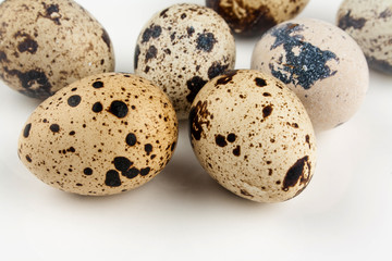 Five quail eggs on white background