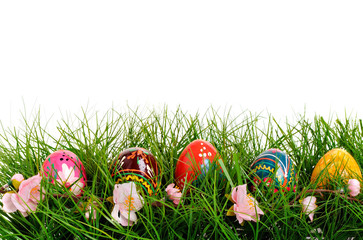 Row of Easter Eggs with Daisy on Fresh Green Grass