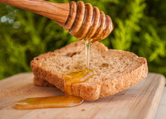 toasted bread with honey and honey dipper in nature background
