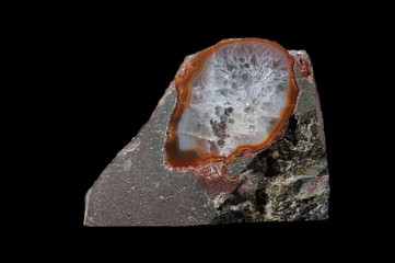 Cut and polished agate. Origin: Poland, Regulice near Krakow.