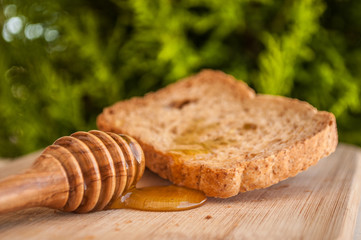 toasted bread with honey and honey dipper in nature background
