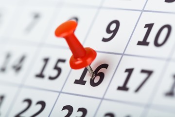 Calendar, Straight Pin, Personal Organizer.