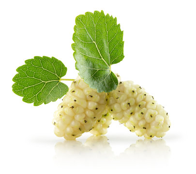 white mulberries isolated on the white background