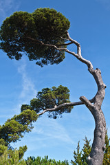 La Rochelle (Charente maritime)