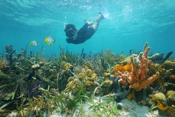 Fototapeten Man snorkeling underwater looks reef fish © dam
