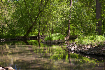 beautiful lake with trees and rocks reflection