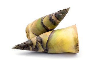 Bamboo shoots