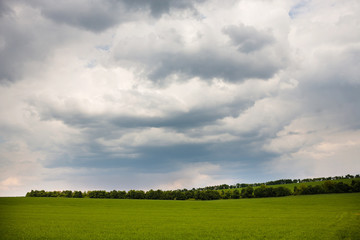 green field and blue sky