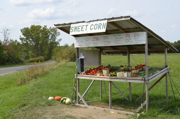 Vegetable stand with fresh ripe garden produce displayed for sale 