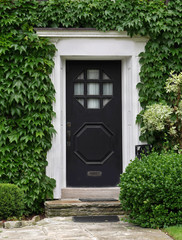 house front door surrounded by ivy