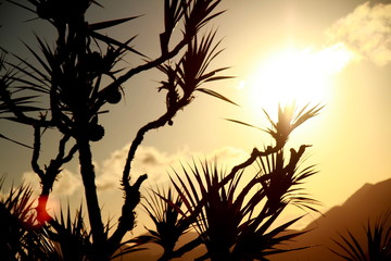 Photo taken during sunset at Corcovado mountain in Rio de Janeiro, Brazil.