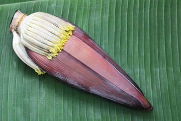 banana flower