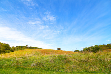 Countryside landscape in summer. 