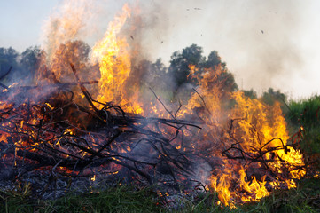 Fototapeta na wymiar Grass fire flames At daytime