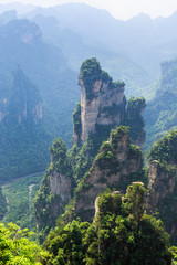 scene of rock mountain in Zhangjiajie National Forest Park,Hunan