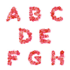 English floral alphabet. Bright font, letters, flowers. Vector