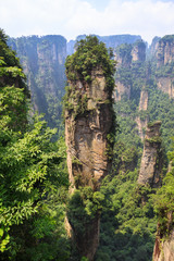 scene of rock mountain in Zhangjiajie National Forest Park,Hunan