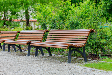 bench in the park