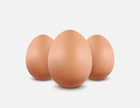 Egg on a white background,vector