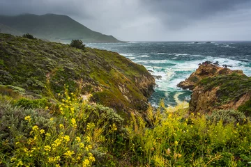 Fotobehang Yellow flowers and view of the Pacific Ocean at Garrapata State © jonbilous