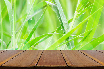 Green Grass Background with Wooden Table.