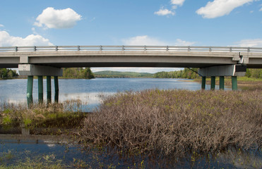 Bridging The Wetland