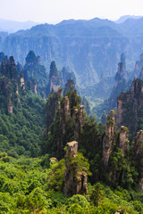 Fototapeta premium scene of rock mountain in Zhangjiajie National Forest Park,Hunan