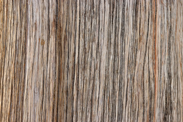 wood texture