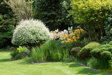 Beautiful spring garden design with rhododendron