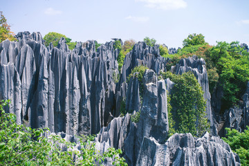 Stone Karst forest in Kunming, China