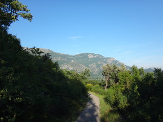 Пешеходная дорожка в парке