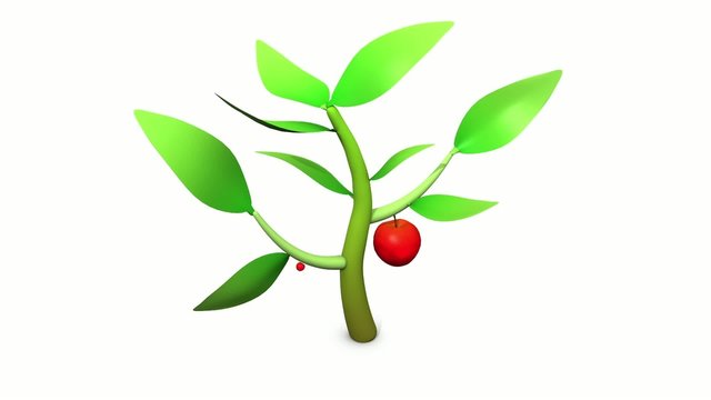 planta creciendo y dando frutos