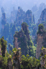 scene of rock mountain in Zhangjiajie National Forest Park,Hunan