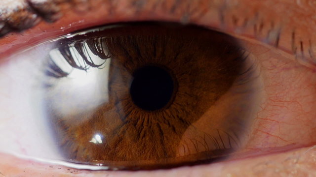 Close up human eye