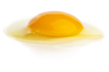 raw egg with a whole yolk