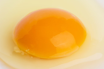 raw egg with a whole yolk