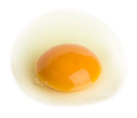 raw egg with a whole yolk