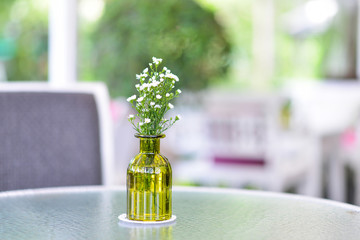 White Flower in glass vase on glass table