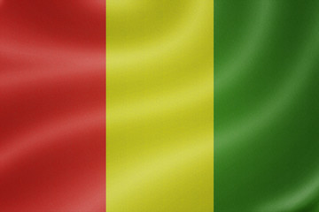 Guinea flag on the fabric texture background