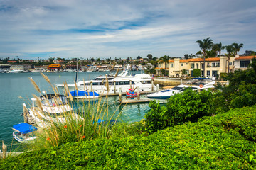 View of the harbor, seen from Lido Isle, in Newport Beach, Calif